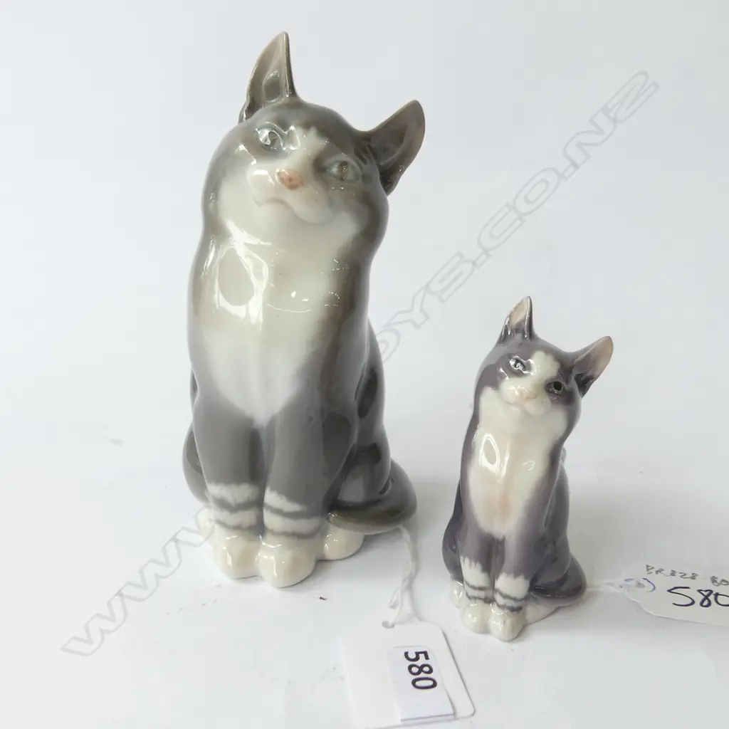 Copenhagen cats - grey and white Image 1++