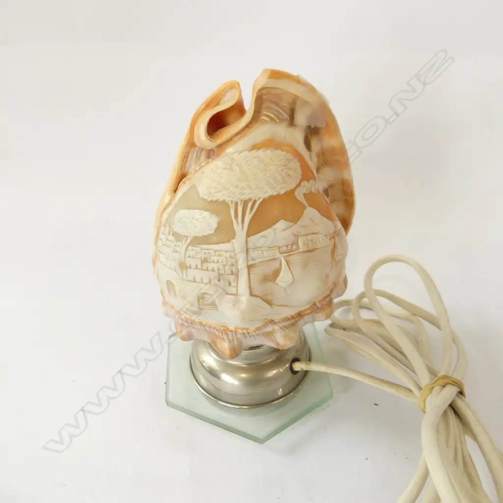 SMALL CARVED CONCH SHELL LAMP H.180mm WORKING Image 1++