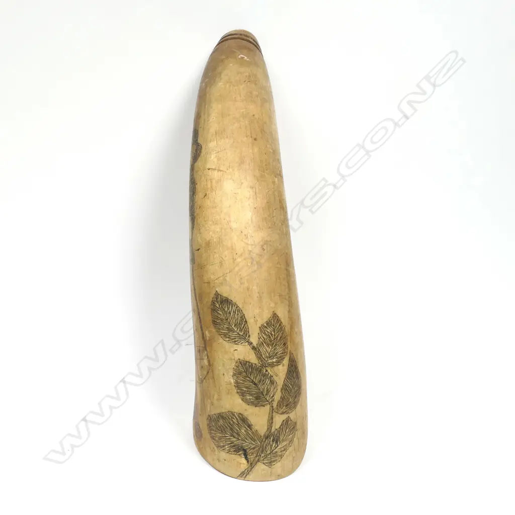 A SCRIMSHAW POWDER HORN Image 1++