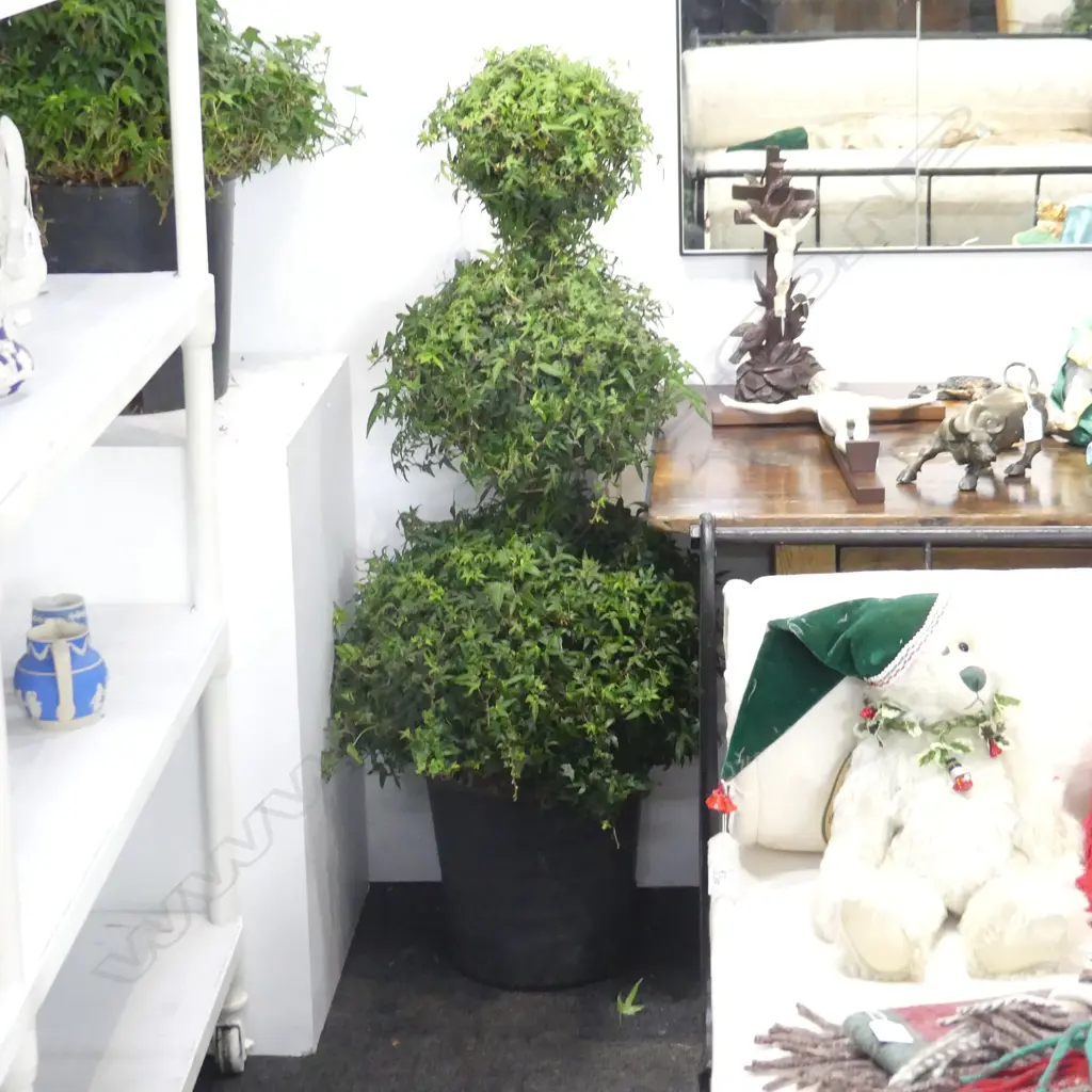 PAIR TRIPLE IVY TOPIARY BALLS H.1250mm Image 1++