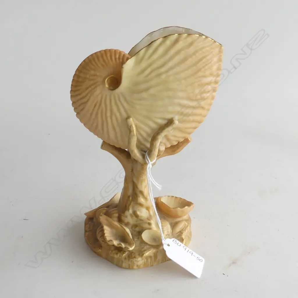 ROYAL WORCESTER BLUSH NAUTILUS SHELL VASE H.180mm Image 1++