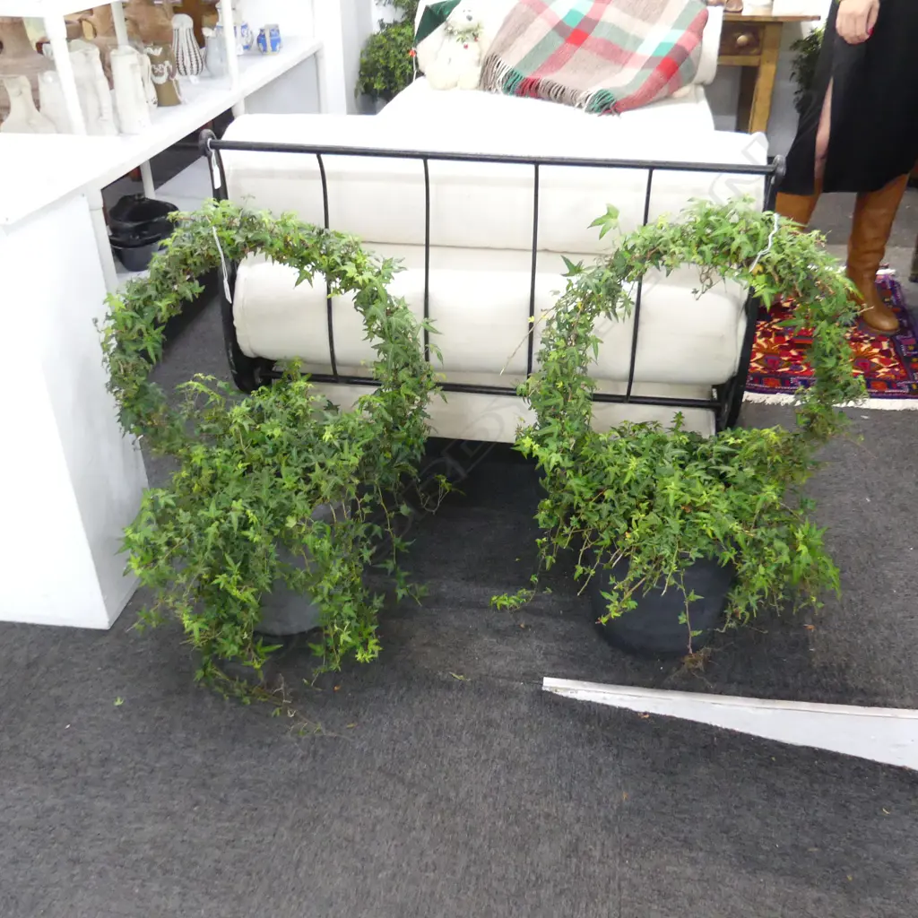 PAIR IVY TOPIARY HOOPS H.800mm Image 1++