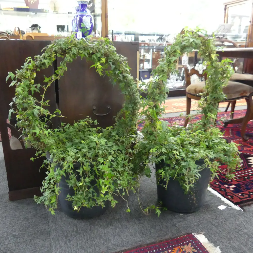 PAIR IVY TOPIARY HOOPS H.800mm Image 1++