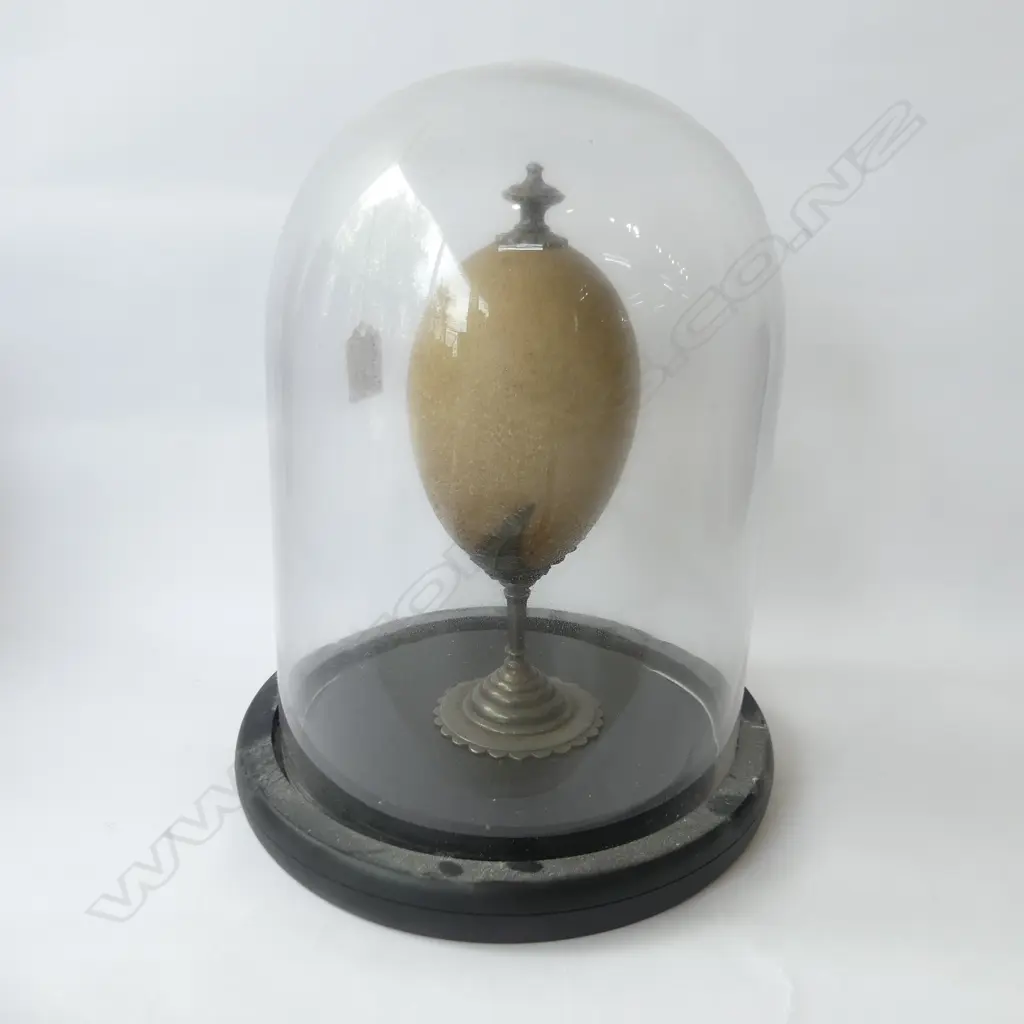 ANTIQUE CARVED EGG (AF) ON SILVER PLATE STAND IN MODERN GLASS DOME H.270mm Image 1++