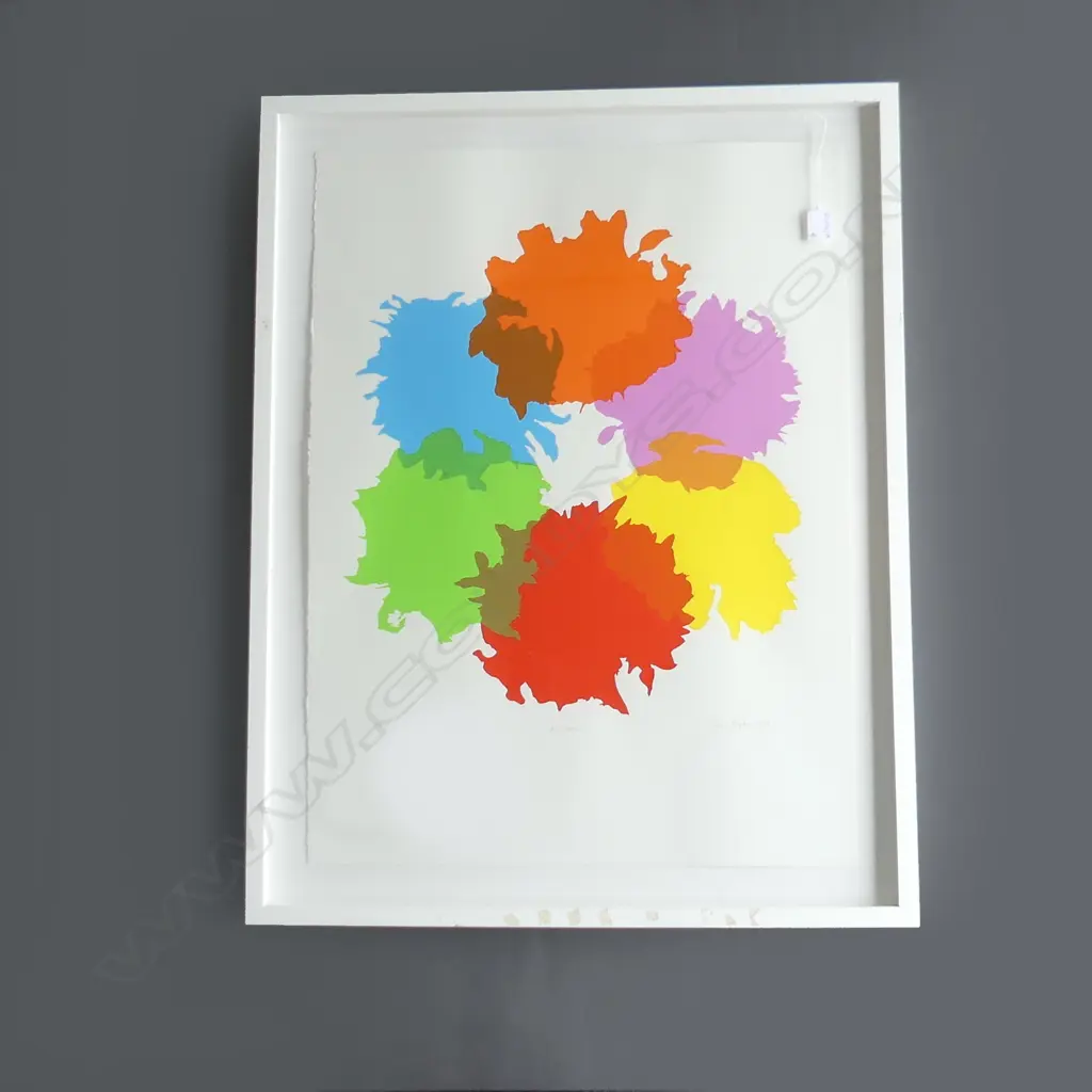 SARA HUGHES 'KZSPYGV' SCREEN PRINT 760 x 560mm 20/60 SIGNED & DATED 2008 Image 1++