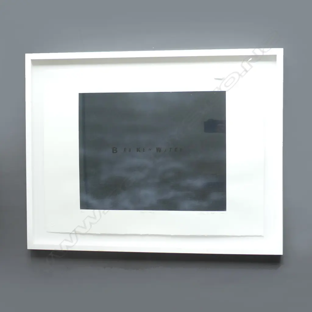 SHANE COTTON 'BROKEN WATER' SCREEN PRINT 400 x 500mm 20/60 SIGNED & DATED 2008 Image 1++