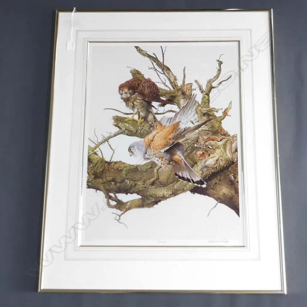 RAYMOND CHING 'KESTRELS' PRINT 423/850 630 x 465mm Image 1++