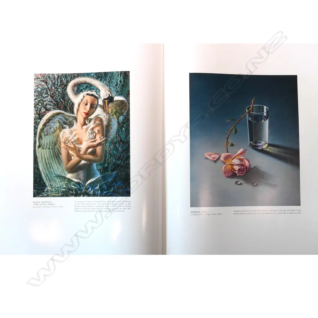 LG FORMAT HARDCOVER TRETCHIKOFF BOOK, SIGNED & DATED, 495 x 375mm Image 1++