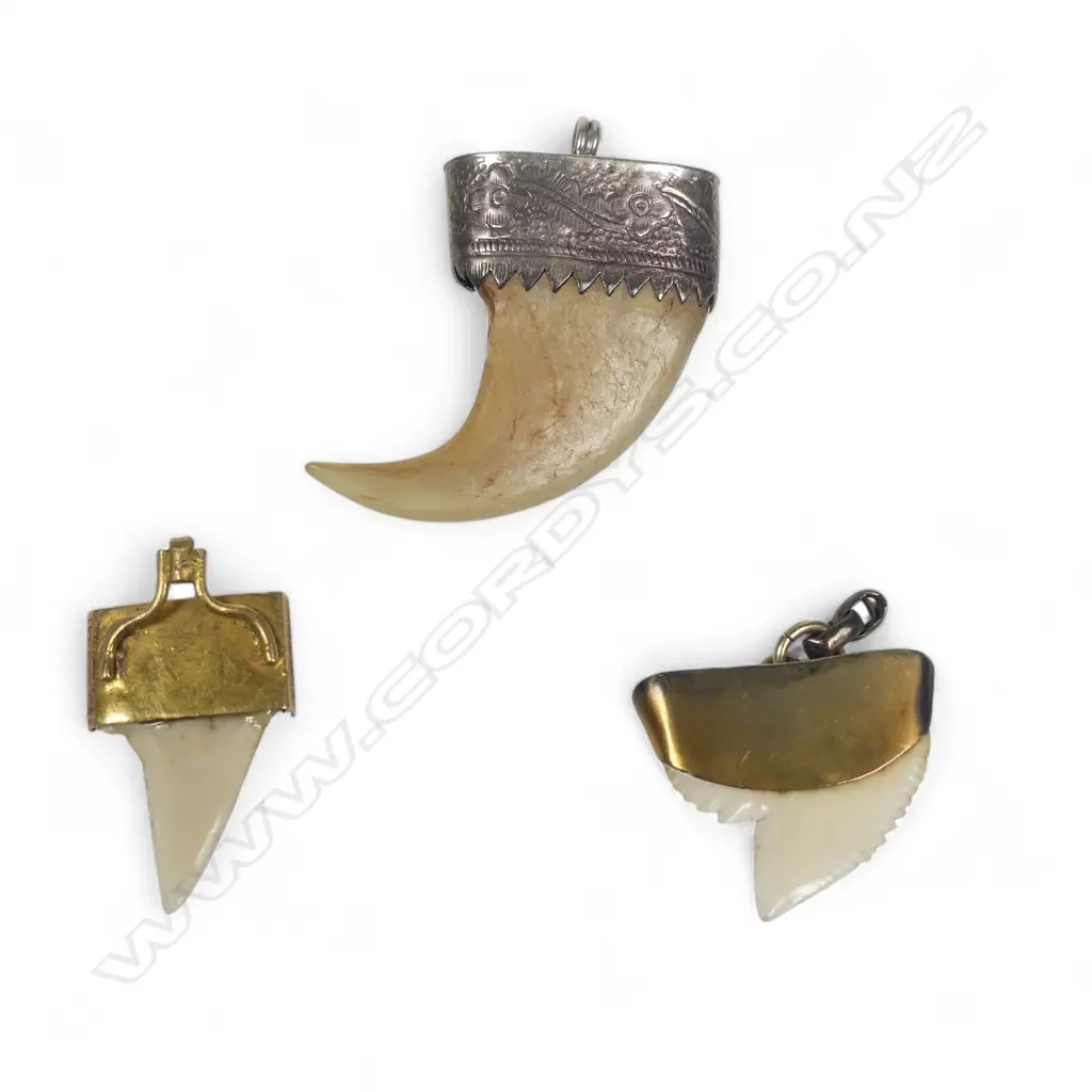 A tiger's claw pendant in unmarked silver mount, a shark's tooth in 9ct gold mount and another in unmarked gold mount. Image 1++
