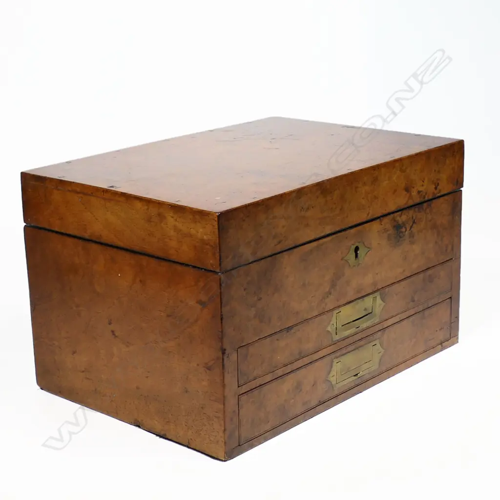 A 19thC homeopathic apothecary box with two fitted drawers, Image 1++