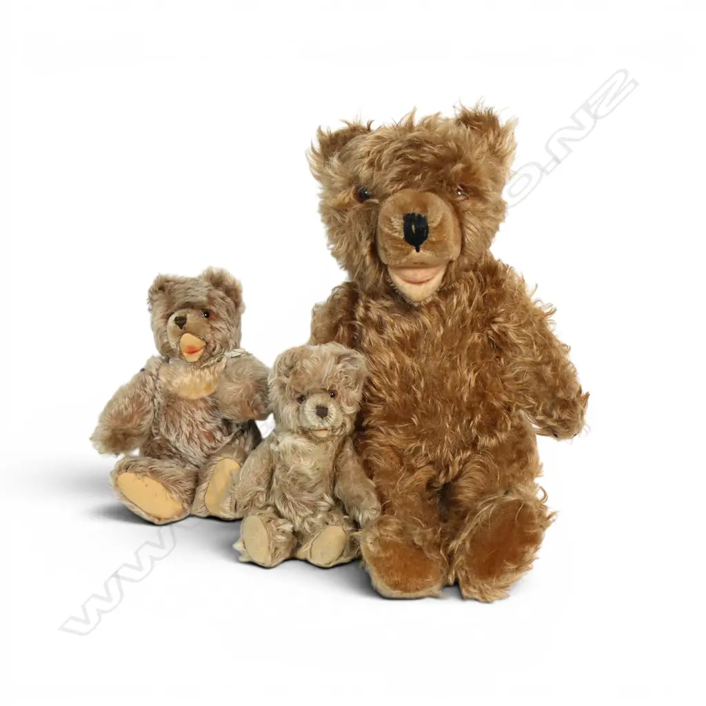 Three vintage Steiff Zotty teddy bears, Image 1++