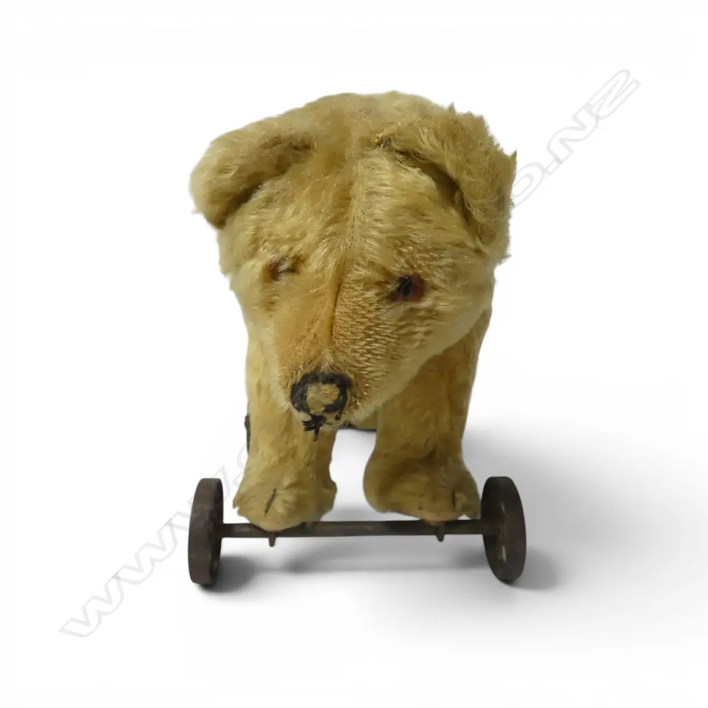 Vintage Steiff pull-along bear on metal frame with wheels, Image 1++