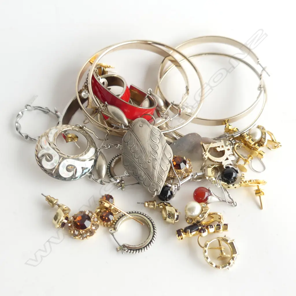 ASST. COSTUME EARRINGS Image 1++