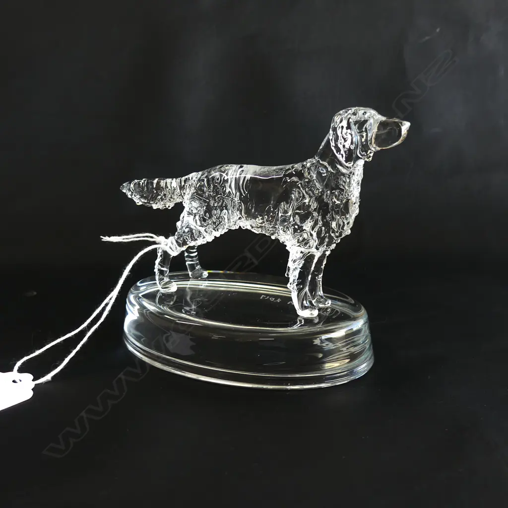 RETRIEVER GLASS STATUETTE; CHESAPEAKE  - SIGNED & DATED 'NEIL HARRIS 2016' L 110MM Image 1++