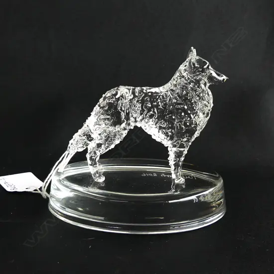 GLASS STATUETTE;  BELGIAN SHEPHERD  - SIGNED & DATED 'NEIL HARRIS 2016/17'