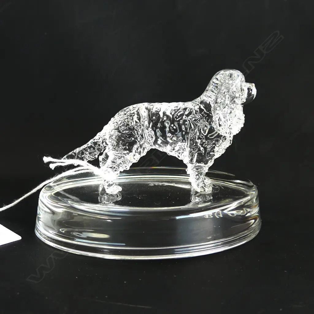 SPANIEL GLASS STATUETTE; CAVALIER KING CHARLES - SIGNED & DATED 'NEIL HARRIS 2016/17 Image 1++