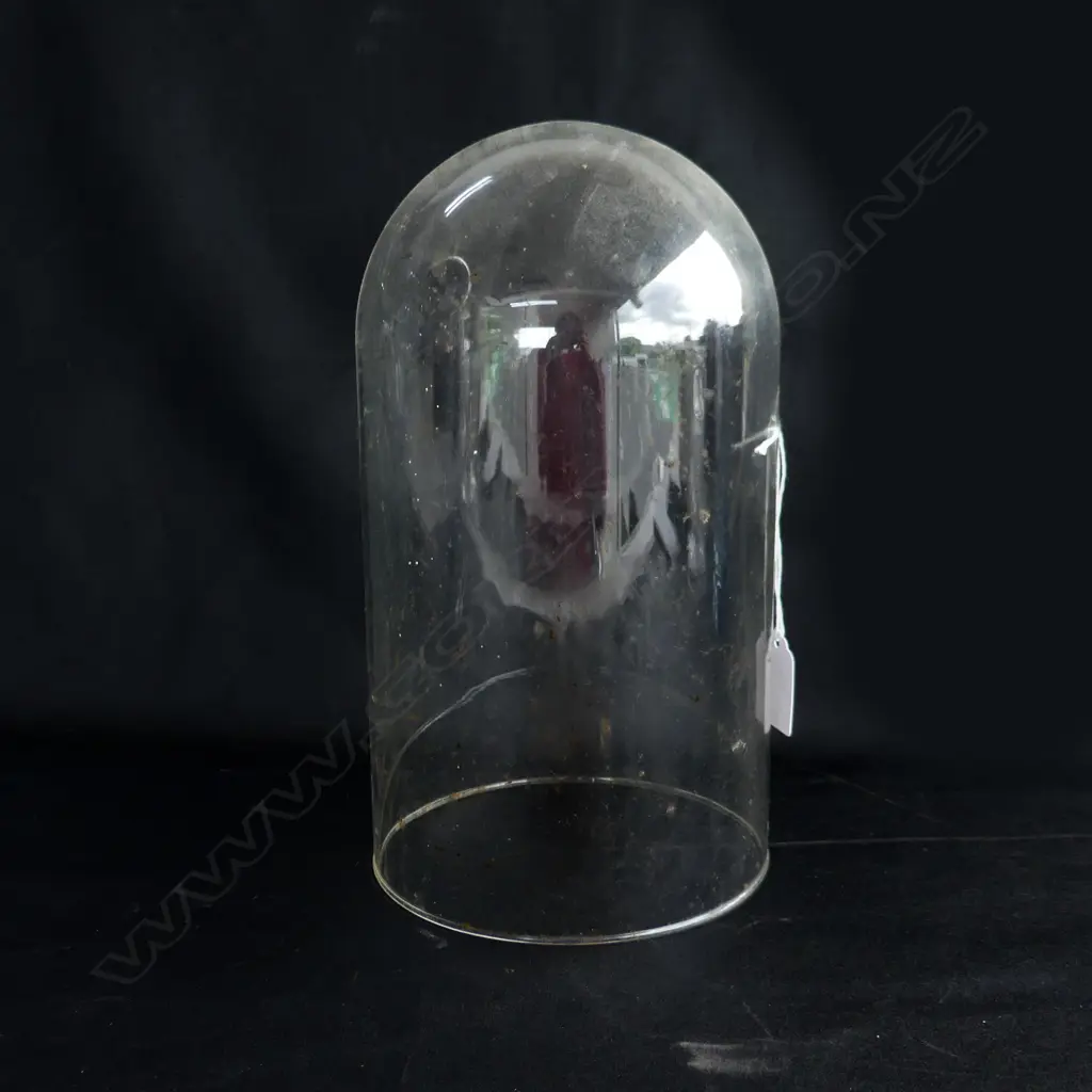 GLASS DISPLAY DOME H. 260 DIA 142MM A/F Image 1++