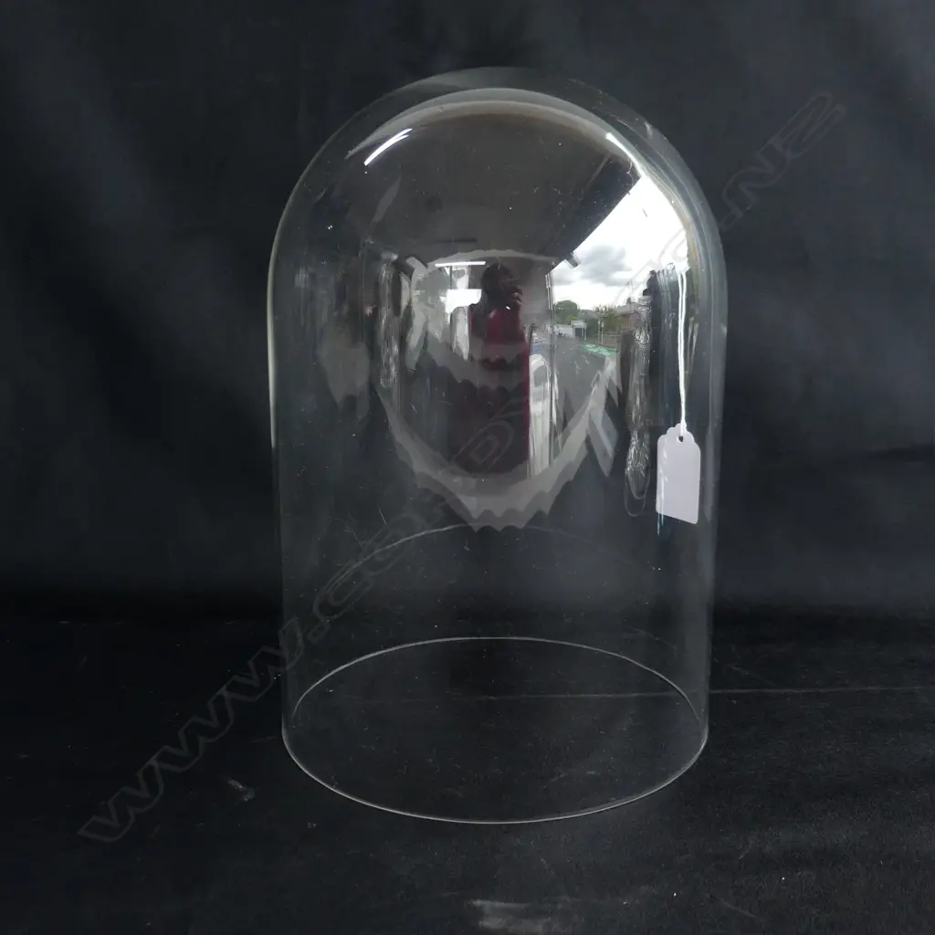 GLASS DISPLAY DOME H. 230 DIA155MM Image 1++