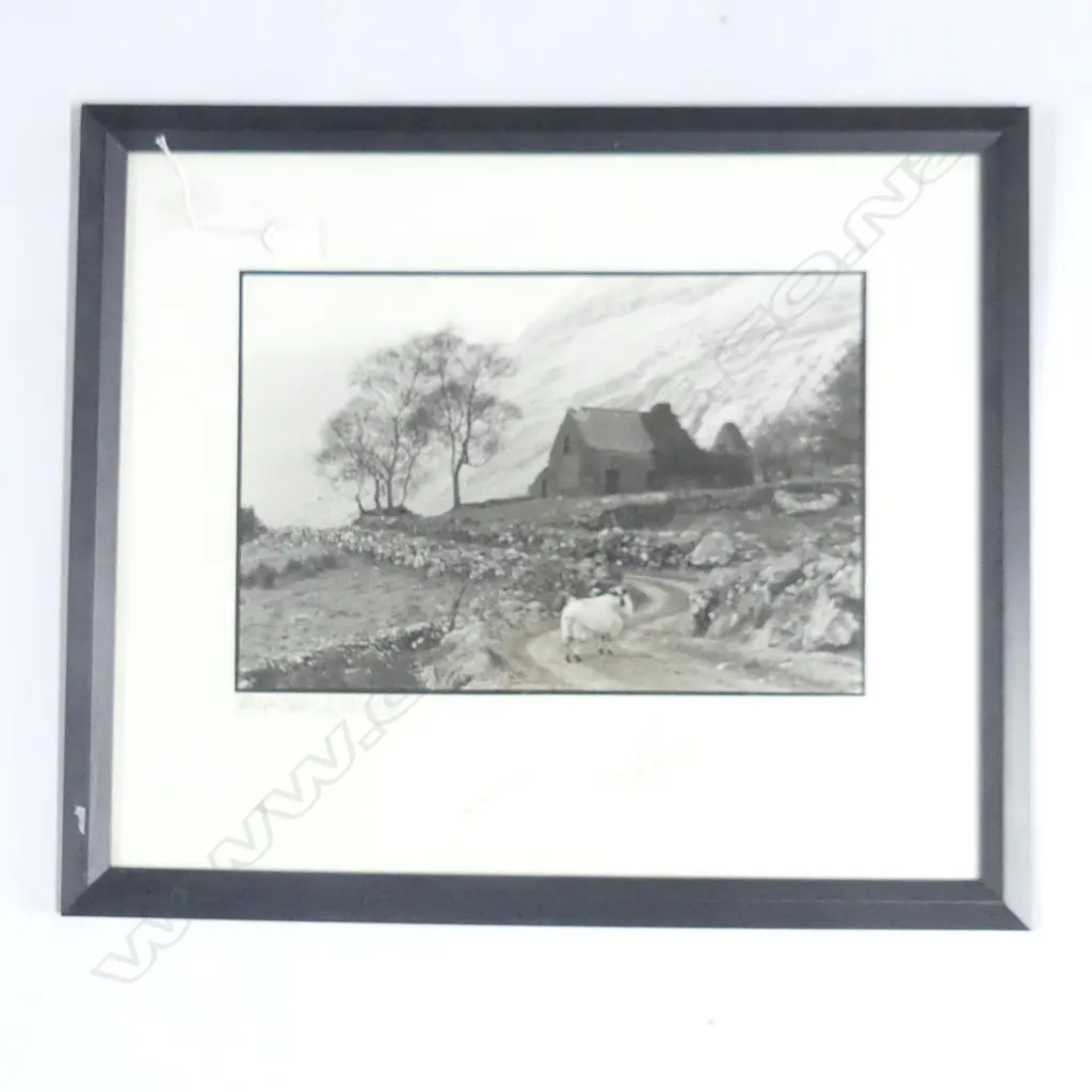 GILES NORMAN PHOTOGRAPHIC PRINT 'SHEEP & TREES' IRELAND 295x440mm SIGNED Image 1++