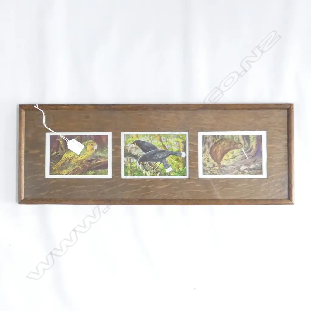 NZ BIRD PRINTS (3) IN OAK FRAME 200x580mm Image 1++