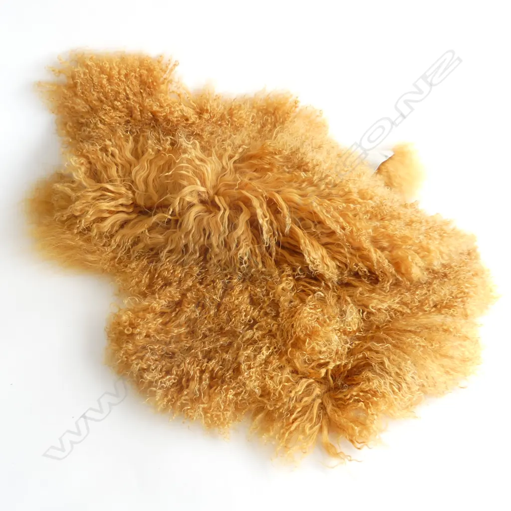 TIBETAN TAN LAMB HIDE  SINGLE L 100MM Image 1++