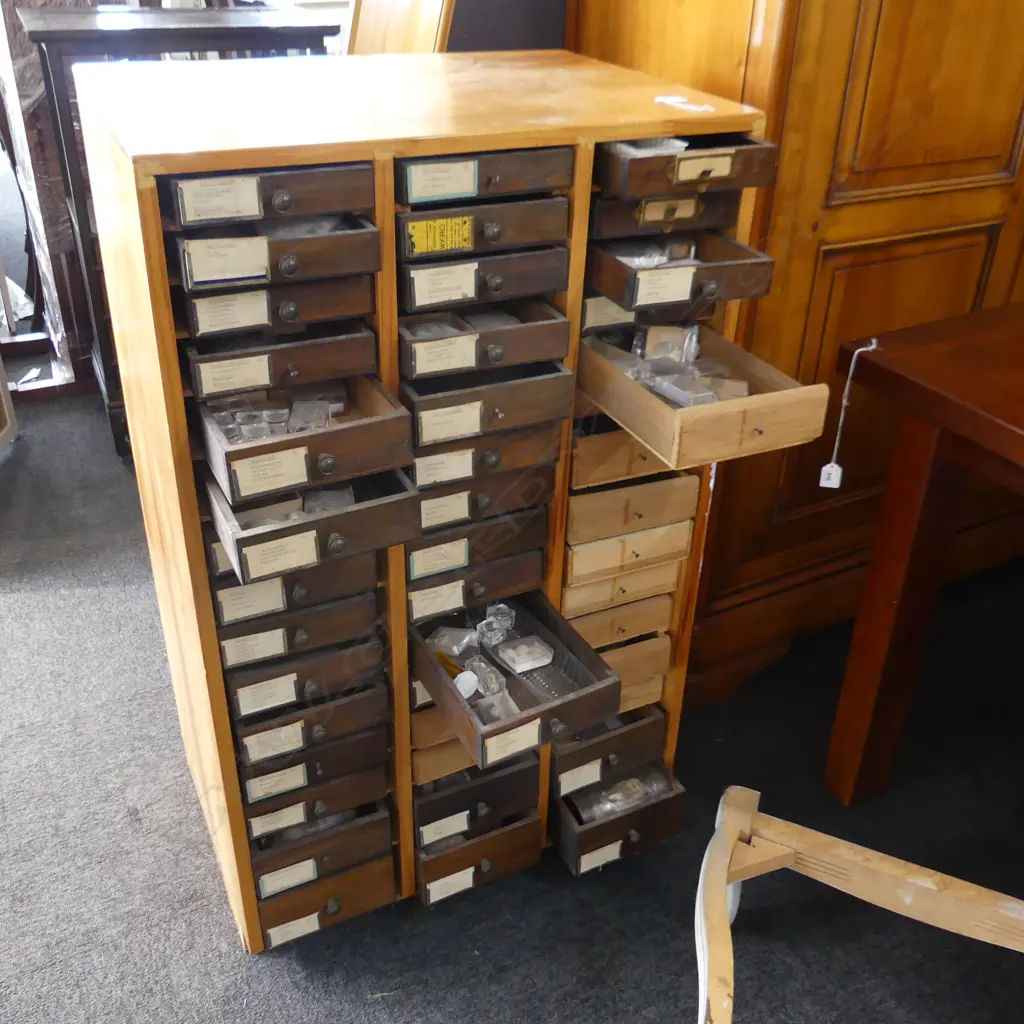 LARGE SHELL COLLECTION IN COLLECTERS CABINET Image 1++