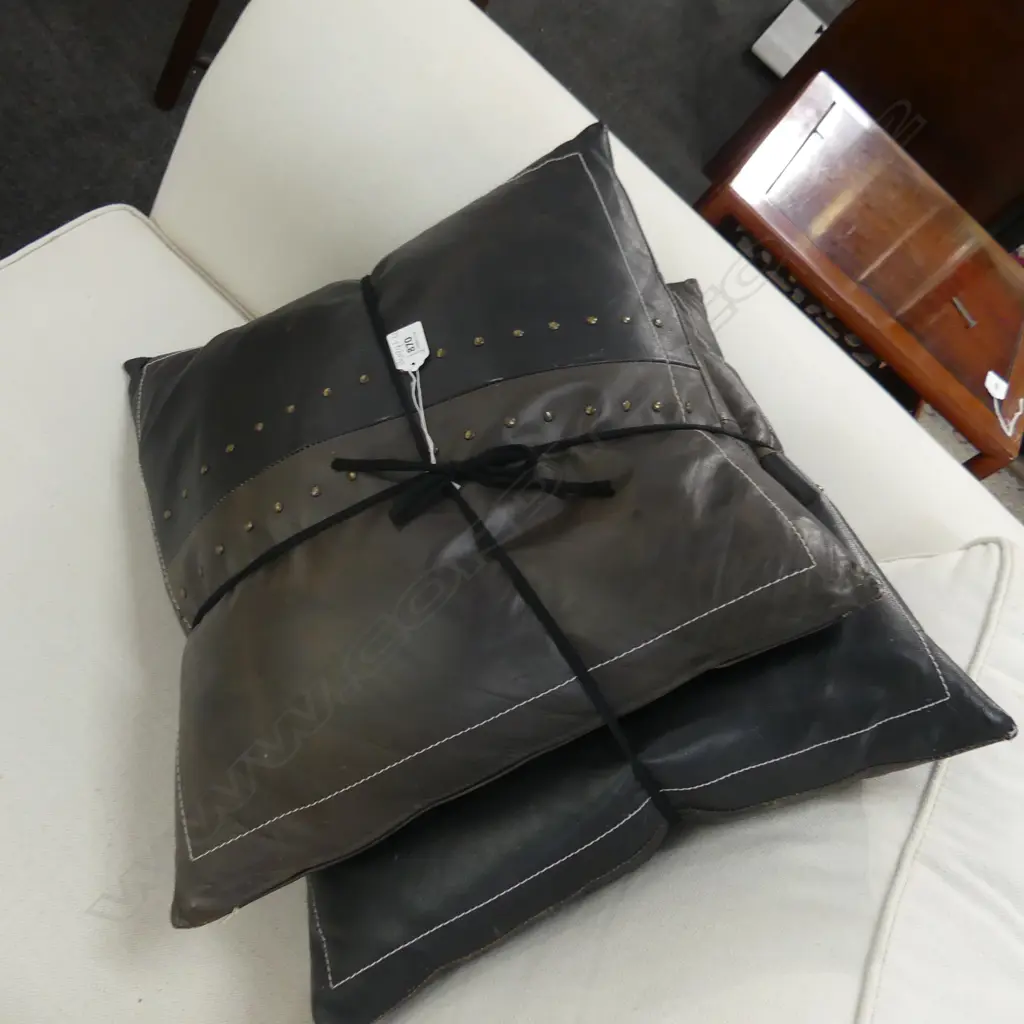 TWO LEATHER CUSHIONS Image 1++