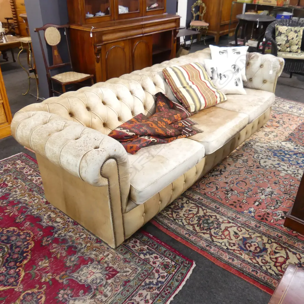 LEATHER BUTTONBACK CHESTERFIELD (sun damaged and some rips) 2400 x 900 x 700mm Image 1++
