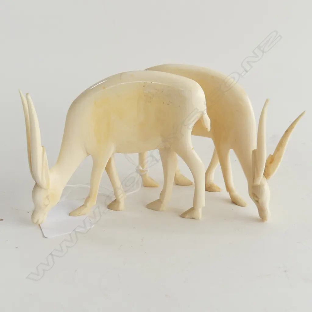 PR AFRICAN IVORY ANTELOPE H60MM Image 1++