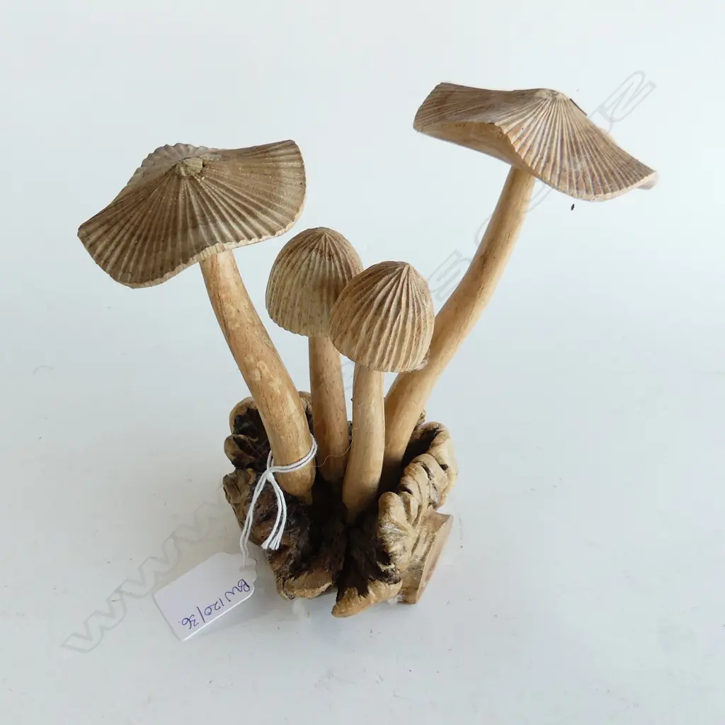 DACTYLANTHUS (WOOD ROSE) w. 4 CARVED WOODEN MUSHROOMS H.175mm Image 1++