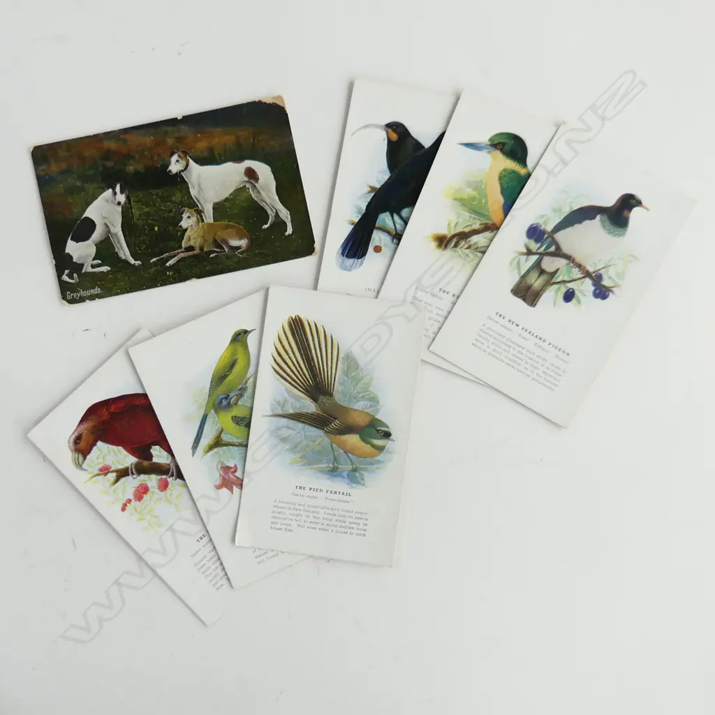 6 OLD NZ POSTCARDS + DOG . HUIA + FANTAIL +  Image 1++