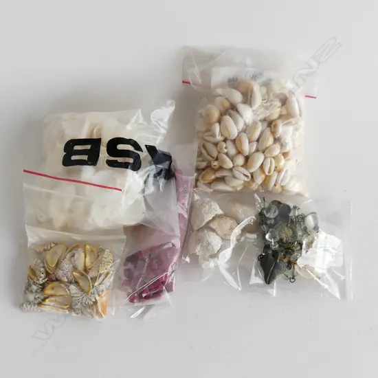 Bag of assorted shell and other beads