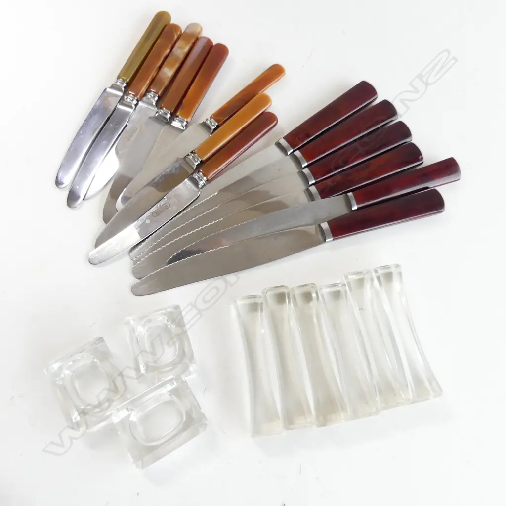 14 KNIVES; 6 'SOLA' ROESTVRY L.240mm, 8 BASTET NIET ROESTEND + 6 CRYSTAL KNIFE RESTS & 3 SALTS Image 1++