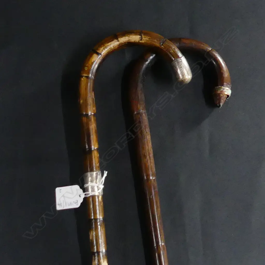 2 WALKING STICKS; STG TRIM & OTHER L.940mm Image 1++