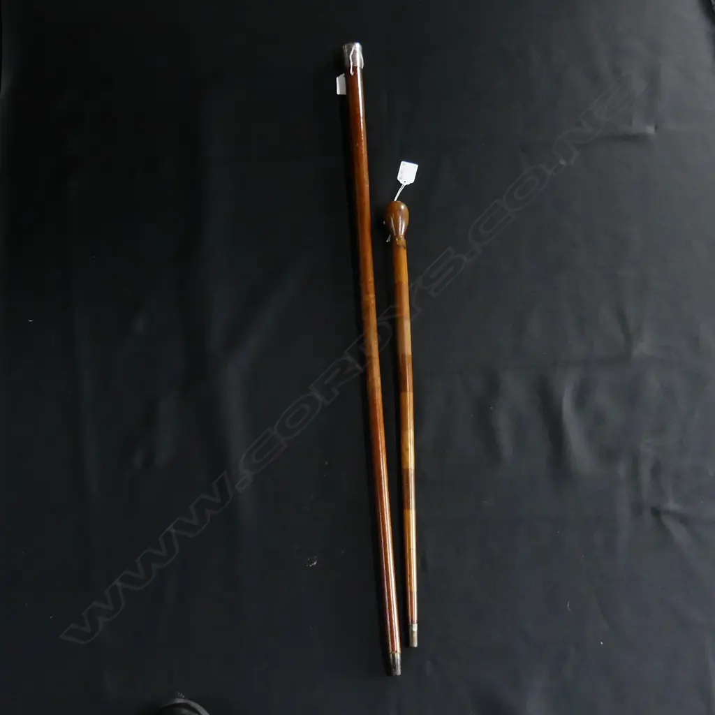 2 WALKING STICKS; STG? CAP & OTHER L.885 / 600mm Image 1++