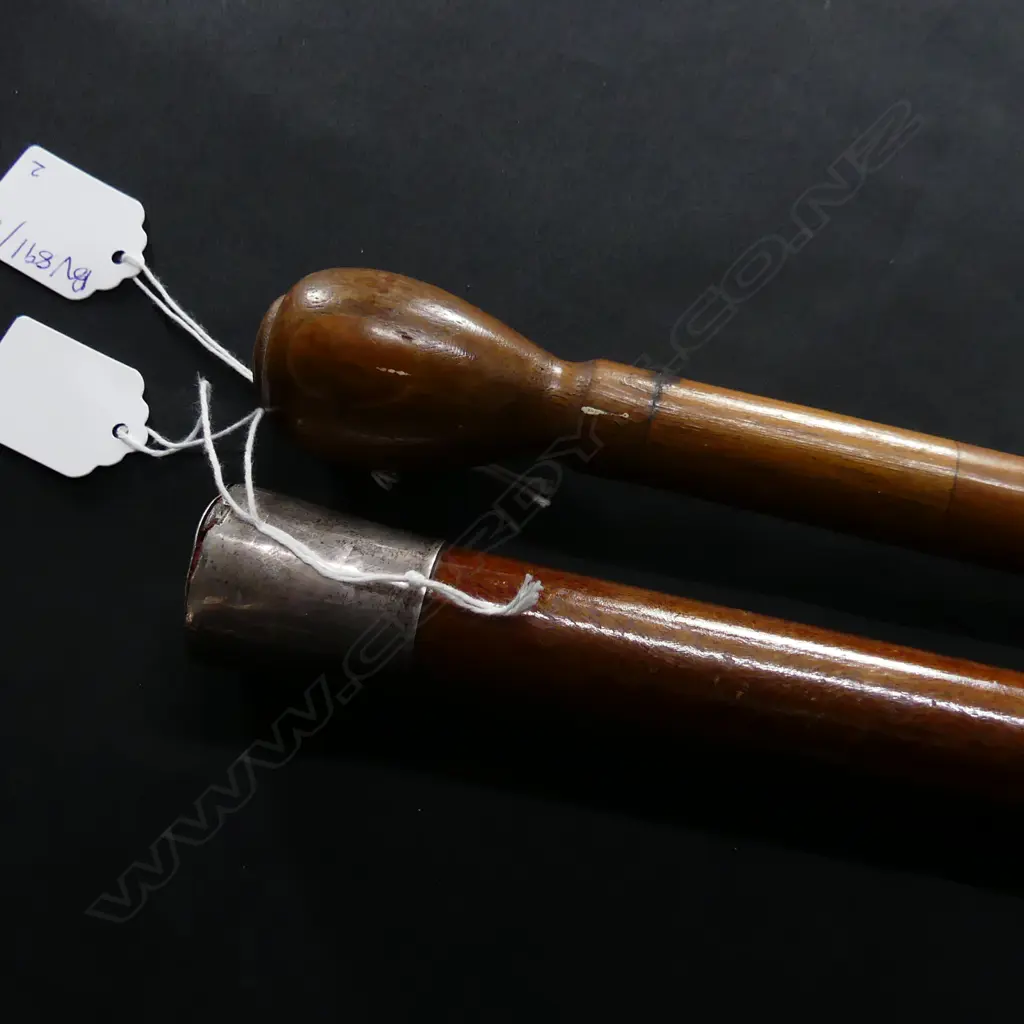 2 WALKING STICKS; STG? CAP & OTHER L.885 / 600mm Image 1++