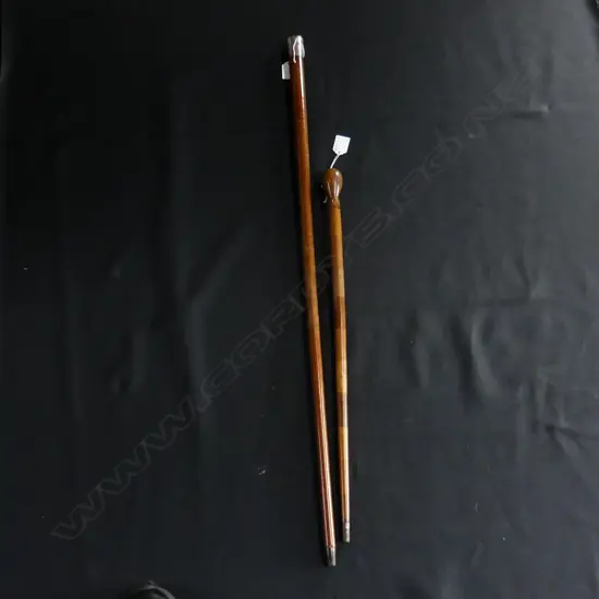 2 WALKING STICKS; STG? CAP & OTHER L.885 / 600mm