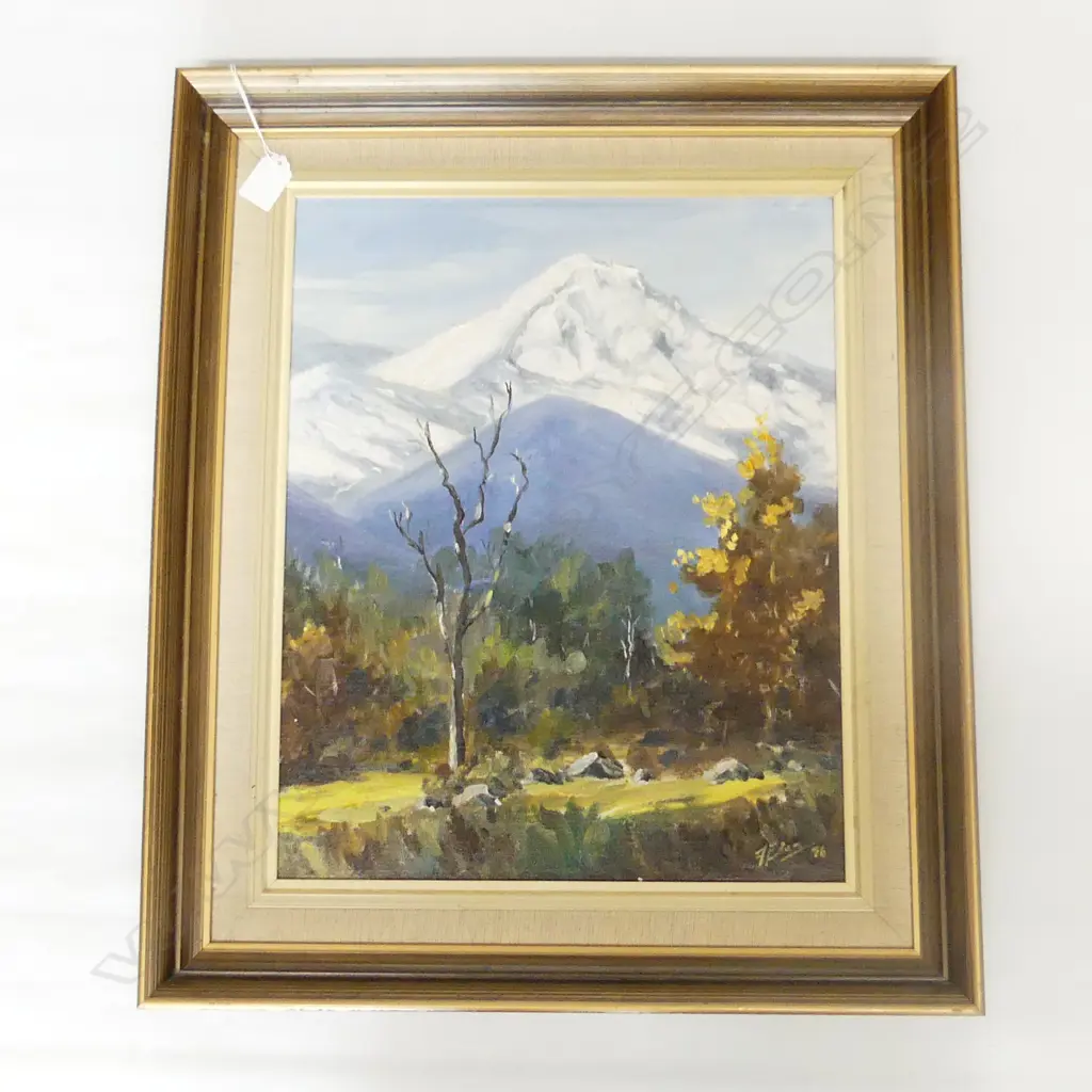 OIL HAAST PASS BY FRANK EDEN H600 L500MM Image 1++