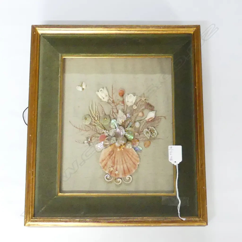 FRAMED SEA SHELL ARTWORK 390x330mm overall Image 1++