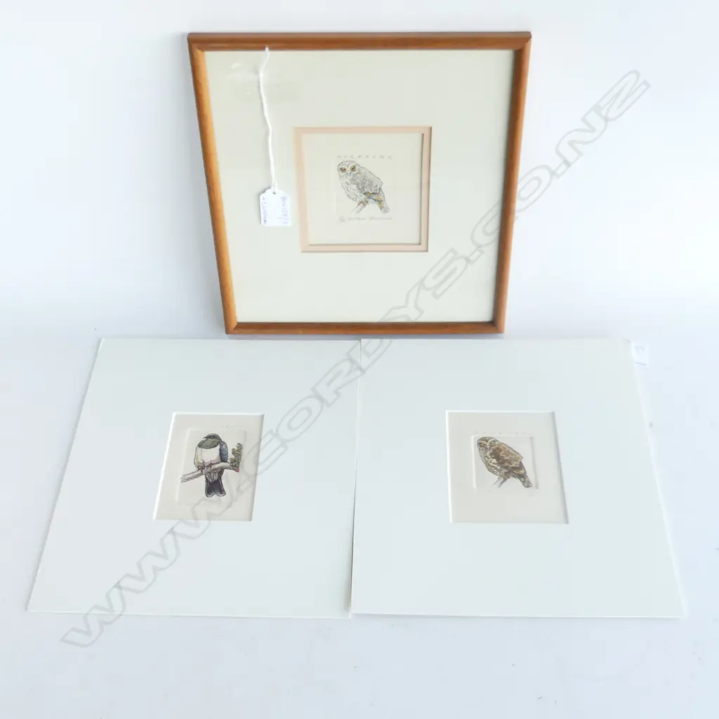 3 RUSSELL JACKSON BIRD PRINTS ED. 150; 2 UNFRAMED; WOOD PIGEON & MOREPORK 100x95mm Image 1++