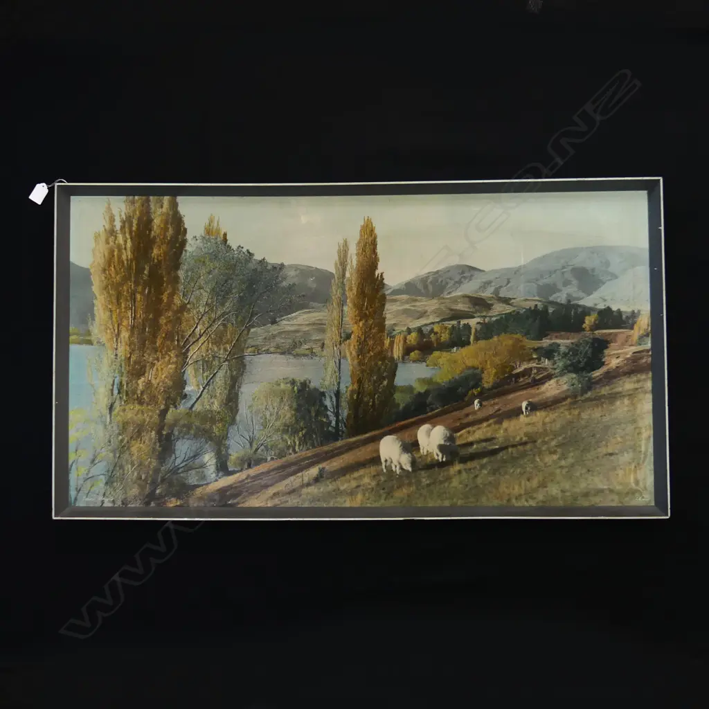 LGE WHITES AVIATION PRINT 'LAKE HAYES' 535x1000mm MINOR MARKS Image 1++