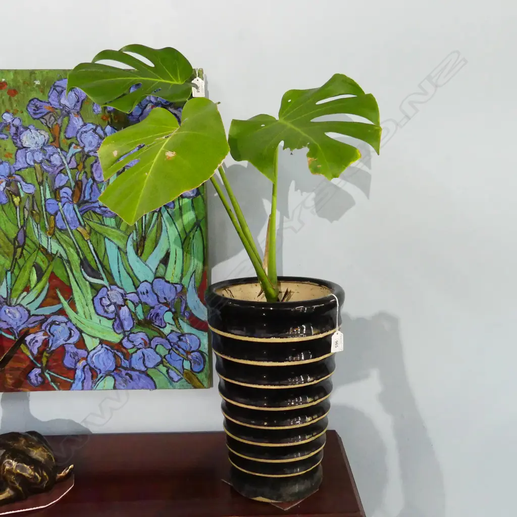 MONSTERA PLANT IN TALL STRIPED CERAMIC POT APPROX H. 870MM Image 1++