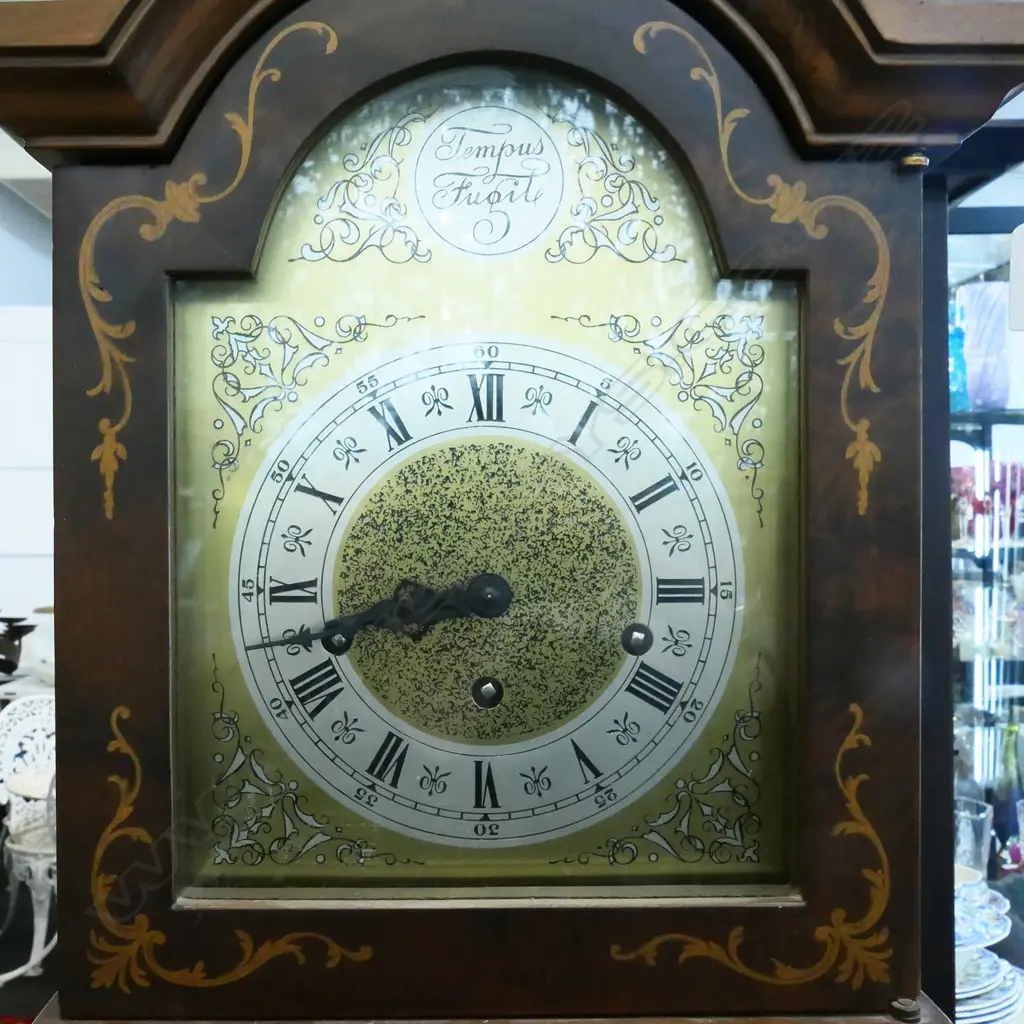 GRANDMOTHER CLOCK 'TEMPUS FUGIT' H.1720mm Image 1++