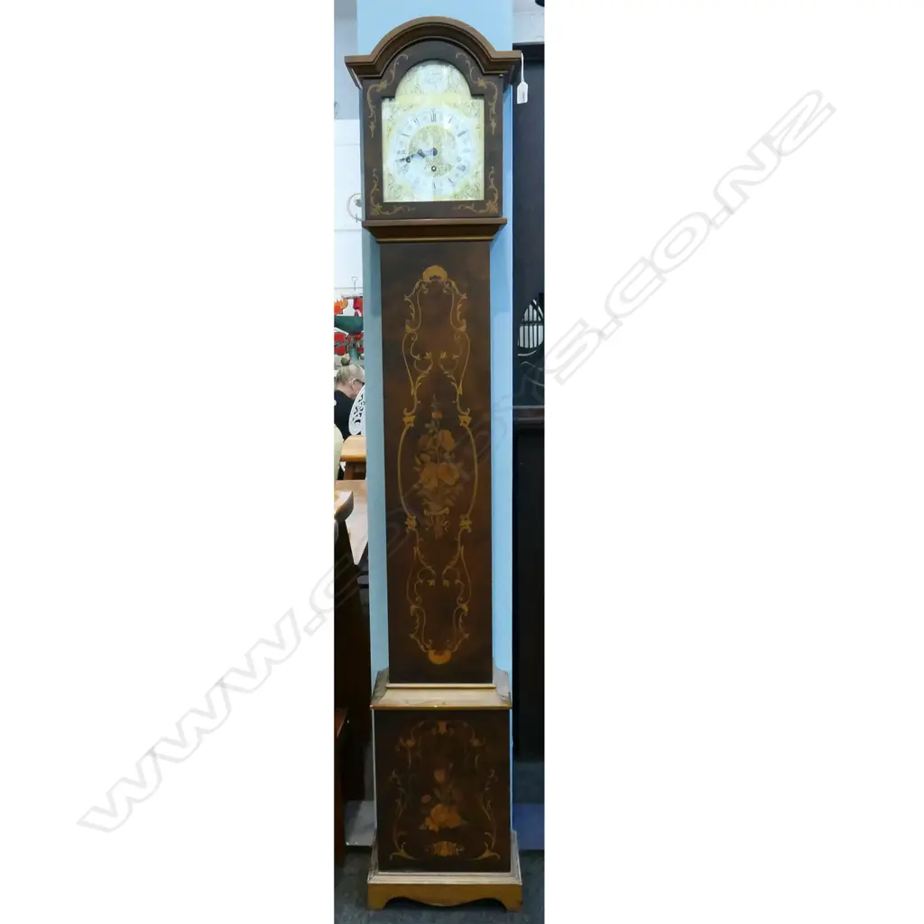 GRANDMOTHER CLOCK 'TEMPUS FUGIT' H.1720mm Image 1++