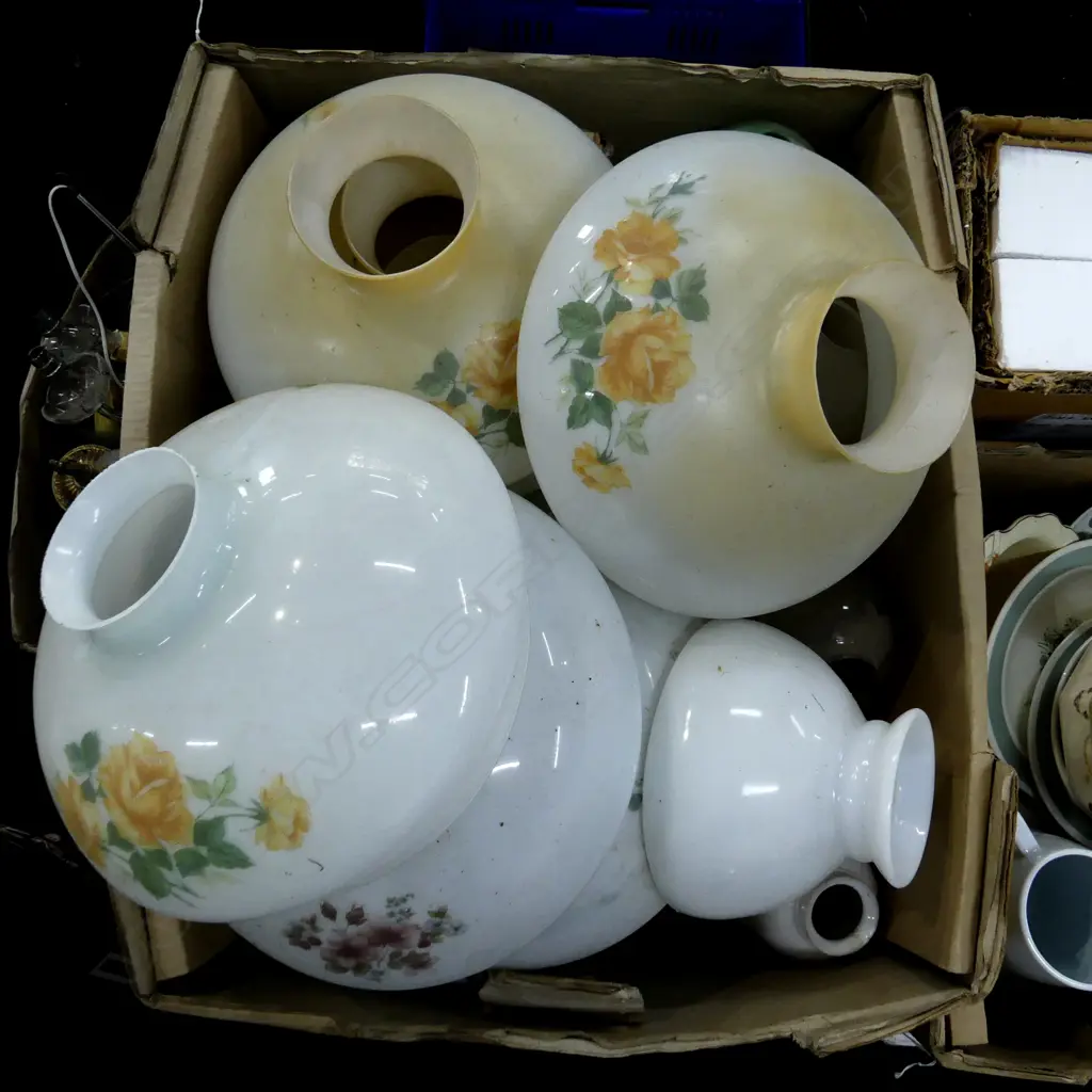 BOX LOT ASST. GLASS LIGHT SHADES Image 1++