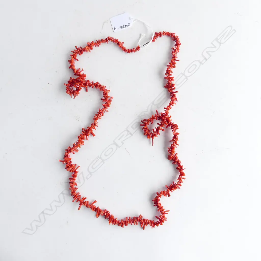 LONG CORAL CHIP NECKLACE Image 1++