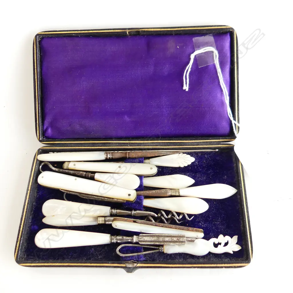 SMALL CASE WITH 13 MOP HANDLED MANICURE PCS KNIVES ETC Image 1++