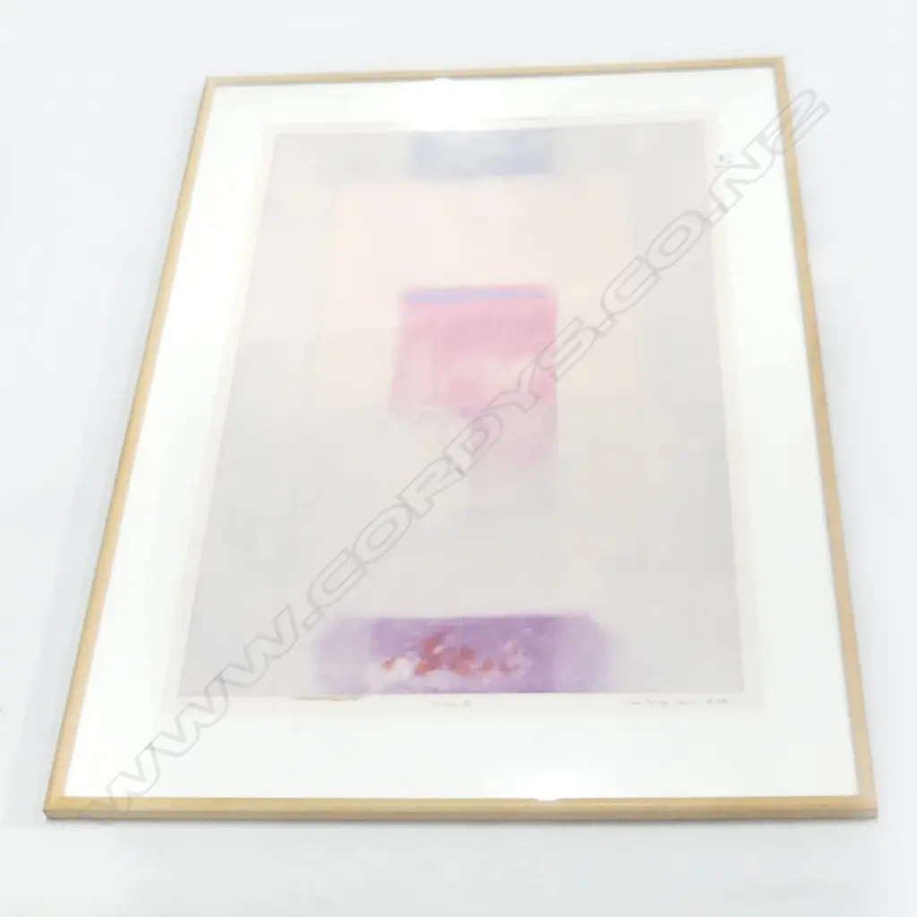 DON KELLOG COWAN 'TERRAIN IX' LTD ED 11/125 1987 940x640mm . Framed under glass Image 1++