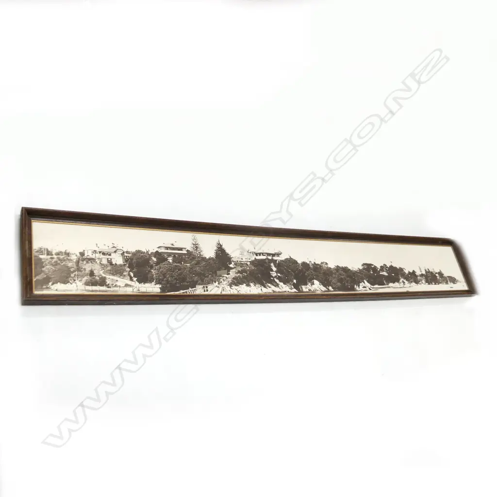 REPRINT COLONIAL AUCKLAND HERNE BAY WATERFRONT HOUSES PANORAMA PHOTO 250x2040mm Image 1++