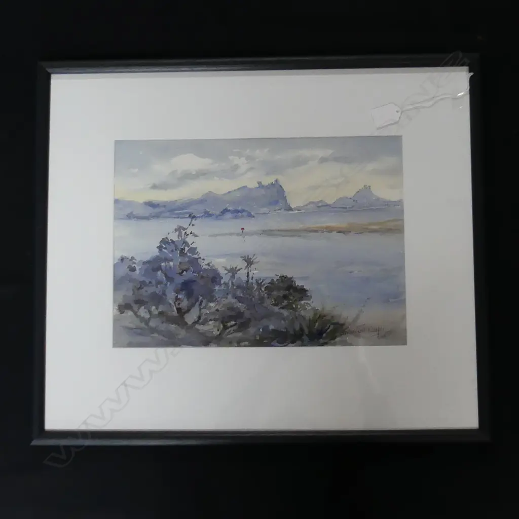 WATER COULOR WHANGAREI AREA SIGNED BIRCHNELL DELPH L550MM H490MM Image 1++